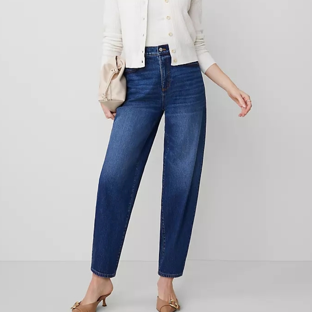Ann Taylor The Barrel Jean Size 2 New